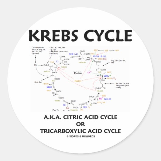 Krebs Cycle, ook bekend als Citroenzuurcyclus, tri Ronde Sticker (Voorkant)