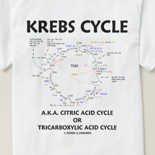 Krebs-cyclus (citroenzuurcyclus - biochemie) t-shirt