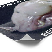 kreeft1 poster (Hoek)