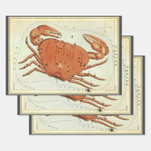 Kreeft Kanker Antieke Constellatie, Urania's Spieg Inpakpapier Vel