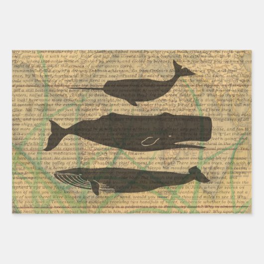 Kreeft Schelpdieren Zeevruchten Maine Classic Ocea Inpakpapier Vel (Voorkant 2)