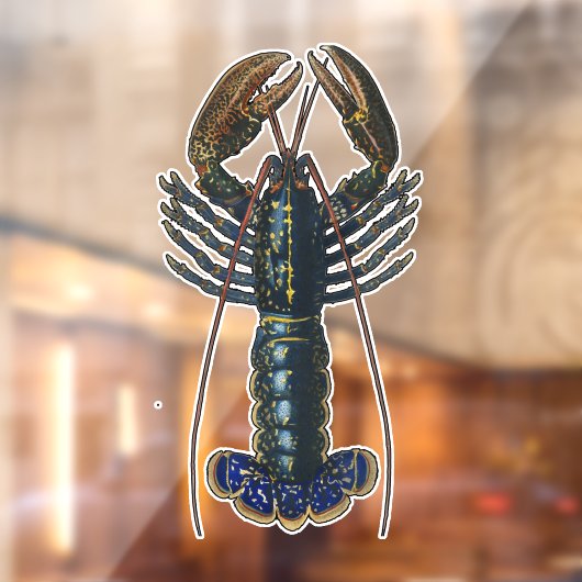 Kreeft Schelpdieren Zeevruchten Maine Classic Ocea Raamsticker (Vel 2)