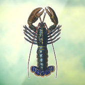 Kreeft Schelpdieren Zeevruchten Maine Classic Ocea Raamsticker (Vel 3)