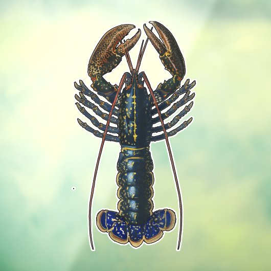 Kreeft Schelpdieren Zeevruchten Maine Classic Ocea Raamsticker (Vel 3)