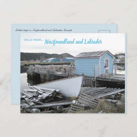 Kreeft vangt Newfoundland en Labrador Briefkaart (Voorkant / Achterkant)