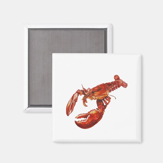 Kreeft waterverf magneet (Voorkant / Achterkant)
