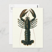 kreeft, zeezoogdier briefkaart (Voorkant / Achterkant)