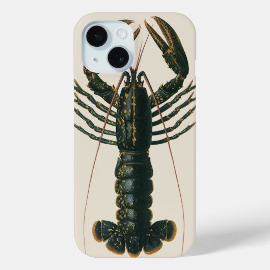kreeft, zeezoogdier Case-Mate iPhone case (Achterkant)