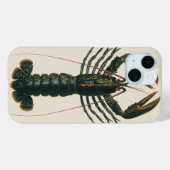 kreeft, zeezoogdier Case-Mate iPhone case (Achterkant (horizontaal))