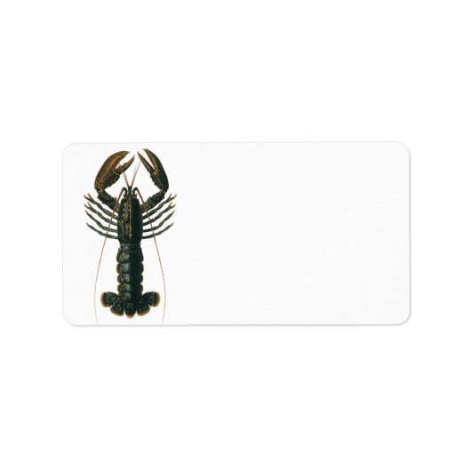  kreeft, zeezoogdier etiket (Voorkant)
