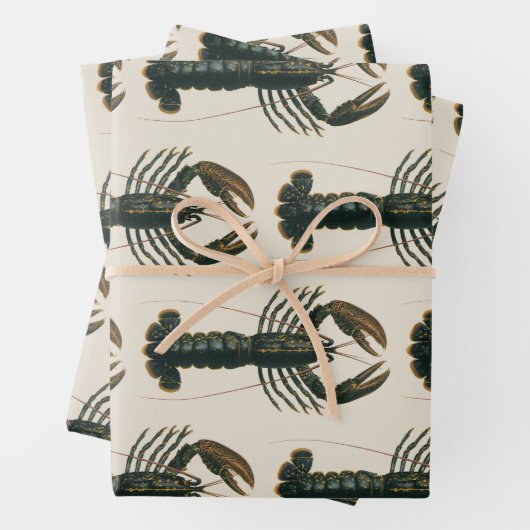  kreeft, zeezoogdier inpakpapier vel (In situ)