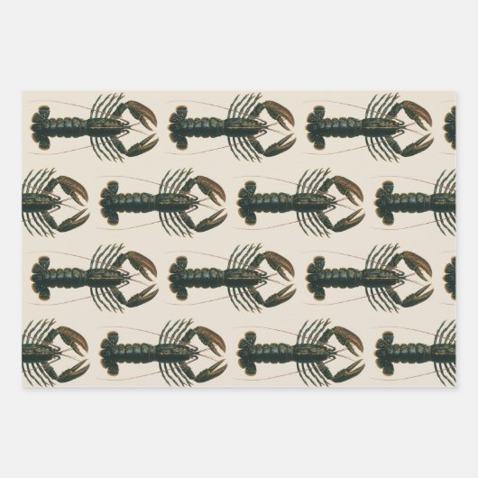  kreeft, zeezoogdier inpakpapier vel (Voorkant)