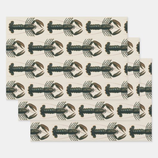  kreeft, zeezoogdier inpakpapier vel (Set)