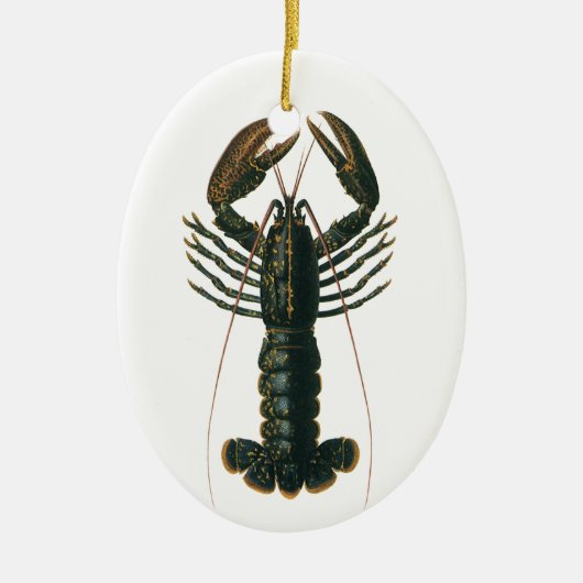  kreeft, zeezoogdier keramisch ornament (Voorkant)