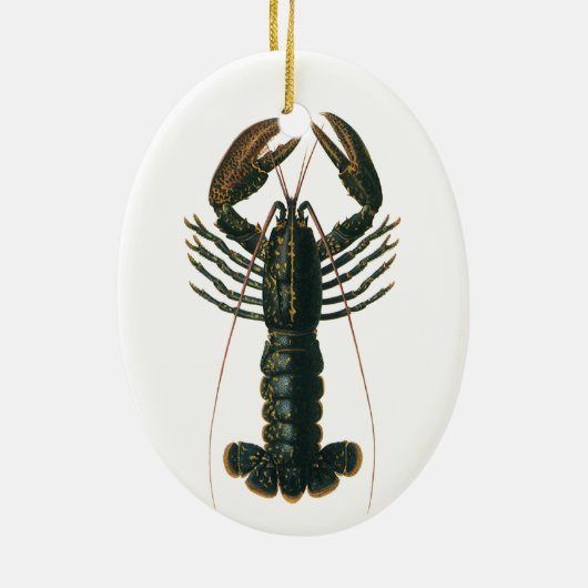  kreeft, zeezoogdier keramisch ornament (Achterkant)