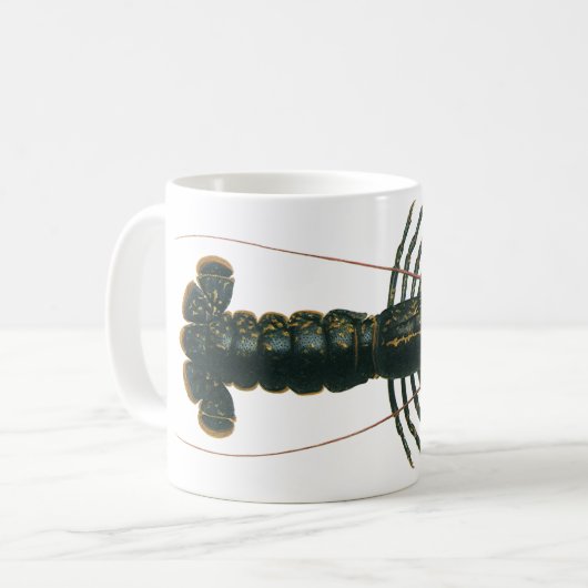  kreeft, zeezoogdier koffiemok (Voorkant links)