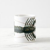 kreeft, zeezoogdier koffiemok (Center)