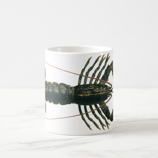 kreeft, zeezoogdier koffiemok (Center)