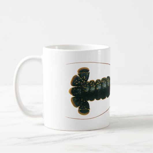 kreeft, zeezoogdier koffiemok (Links)