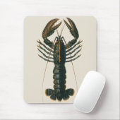 kreeft, zeezoogdier muismat (Met muis)