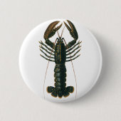 kreeft, zeezoogdier ronde button 5,7 cm (Voorkant)