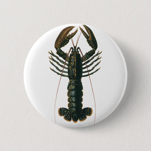 kreeft, zeezoogdier ronde button 5,7 cm (Voorkant)
