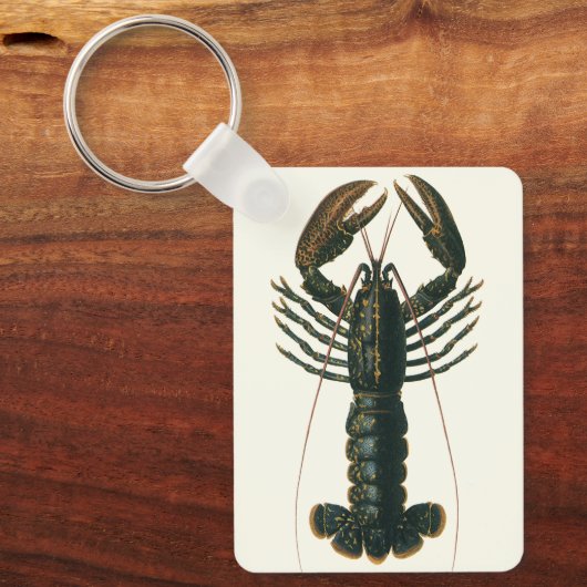  kreeft, zeezoogdier sleutelhanger (Voorkant)
