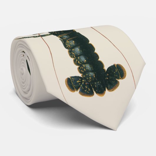  kreeft, zeezoogdier stropdas (Opgerold)