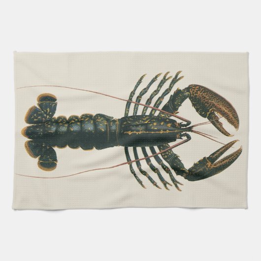  kreeft, zeezoogdier theedoek (Horizontaal)