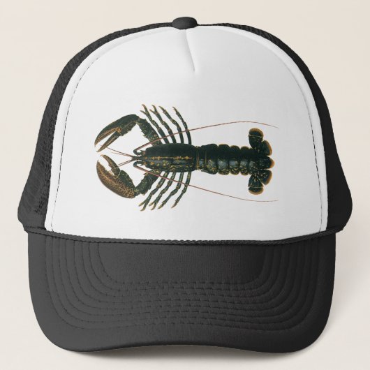  kreeft, zeezoogdier trucker pet (Voorkant)