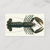  kreeft, zeezoogdier visitekaartje (Achterkant)