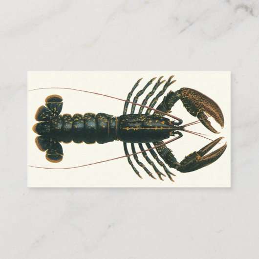  kreeft, zeezoogdier visitekaartje (Achterkant)