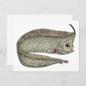  kreeften, zeewaterdieren (Voorkant / Achterkant)