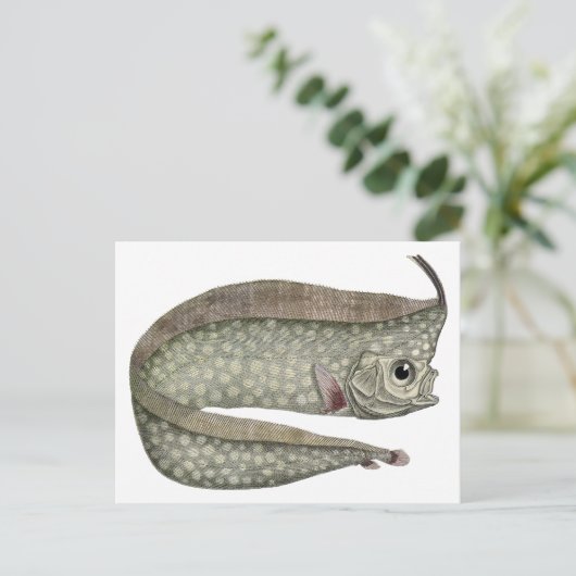  kreeften, zeewaterdieren briefkaart (Staand voorkant)