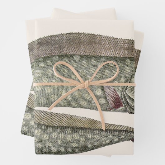  kreeften, zeewaterdieren inpakpapier vel (In situ)