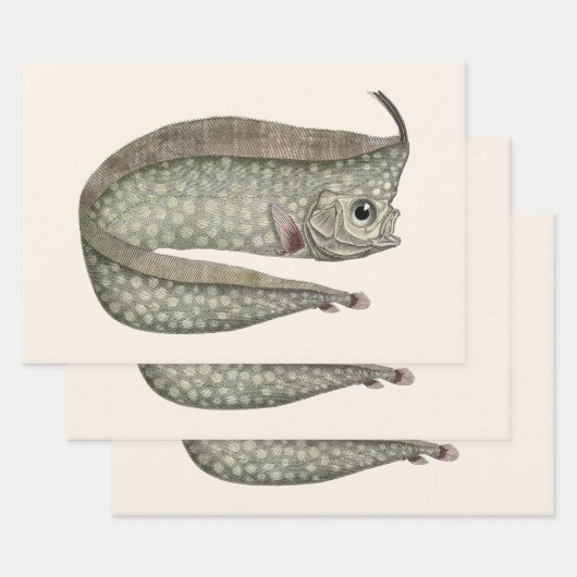  kreeften, zeewaterdieren inpakpapier vel (Set)