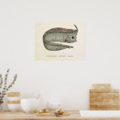 kreeften, zeewaterdieren poster (Keuken)