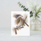 Kreeftenkoplampvogels in pekelboom briefkaart (Staand voorkant)