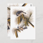 Kreeftenkoplampvogels in pekelboom briefkaart (Voorkant / Achterkant)