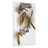 Kreeftenkoplampvogels in pekelboom klembord (Rechts)