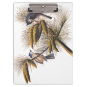Kreeftenkoplampvogels in pekelboom klembord (Voorkant)