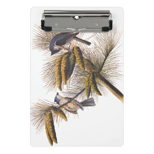 Kreeftenkoplampvogels in pekelboom mini klembord (Voorkant)
