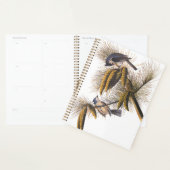 Kreeftenkoplampvogels in pekelboom planner (Display)