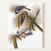 Kreeftenkoplampvogels in pekelboom planner (Achterkant)