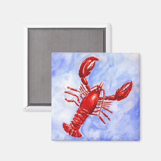 KREEFTENMAGNEET MAGNEET (Voorkant / Achterkant)