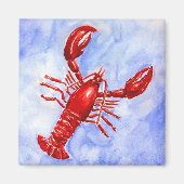 KREEFTENMAGNEET MAGNEET (Voorkant)