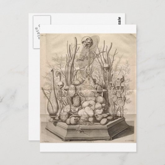 kreeftenskeletten, schedels en bomen briefkaart (Voorkant / Achterkant)