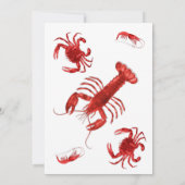 Kreeftfeest Rood Wit Aangepaste Verjaardagsfeestje Kaart (Achterkant)