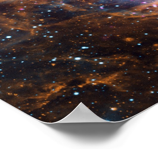 Kreeftnevel - Kosmisch Winterwonderland Poster (Hoek)