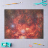 Kreeftnevel Tissuepapier (Craft)